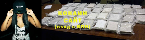 прущие грибы Осташков