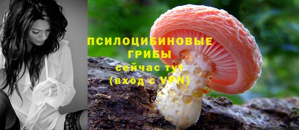 дживик Железногорск-Илимский