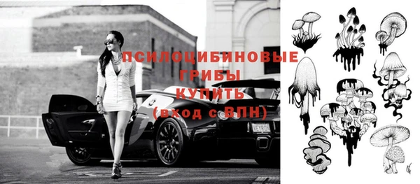 синтетический гашиш Няндома